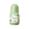 Desodorante Roll-On Fayankou Plant Essence Todo en Inglés con Fragancia de Larga Duración y Aroma Refrescante, Comercio Exterior Transfronterizo al por Mayor