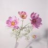 Flor artificial de alta calidad estilo nórdico Cosmos reina accesorios para fotografía de boda decoración de piso flor falsa flor gesang