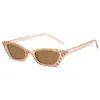 Moda Transfronteriza Europea y Americana Gafas de Sol de Gato con Diamantes Multicolores Montura Pequeña Gafas de Sol para Fiesta de Graduación Hip-hop Damas