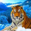 Serie de animales nuevos transfronteriza pintura de diamantes 5d diy diamante completo pintura decorativa venta al por mayor gran cantidad y excelente suministro de comercio exterior