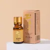 Aceite esencial de ajenjo botella de 10 ml de aceite de hoja de ajenjo masaje raspado masaje de pies ventosas moxibustión fabricantes de ajenjo venta al por mayor aceite de ajenjo