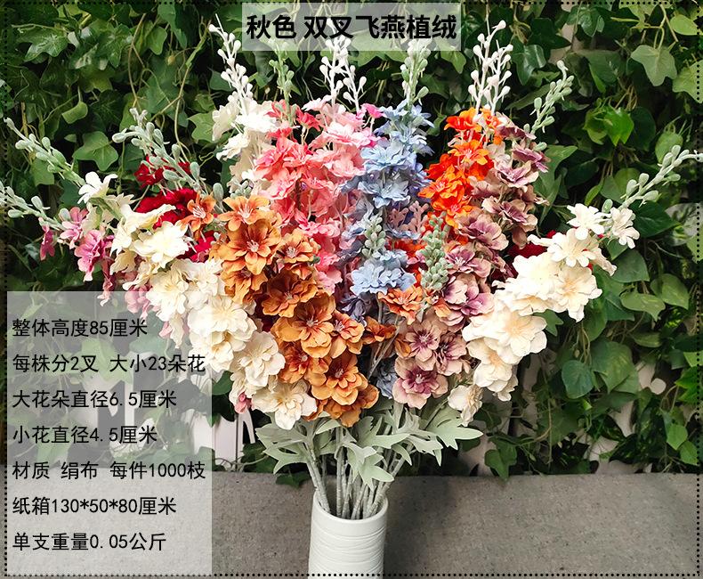 产品信息图-1