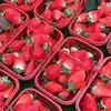 Cestas Pequeñas de Fresa al por Mayor para Fabricantes, Cestas Portátiles de Plástico para Recolección de Frutas, Huevos de Cereza, Moras, Uvas, Arándanos