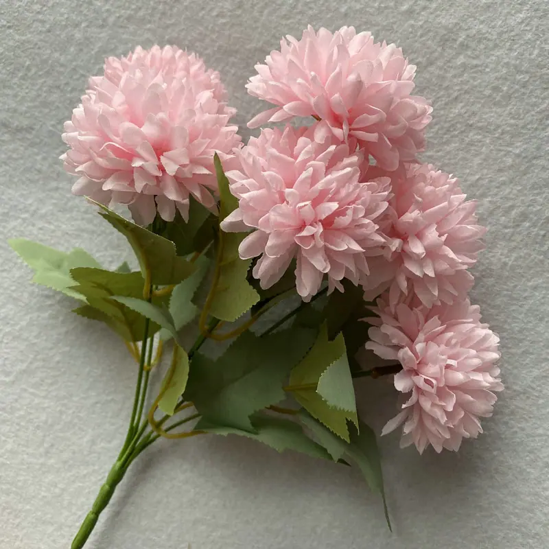深粉色.JPG