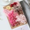[Kit de Materiales para Repujado A5] Flores Secas Flores Preservadas Marco de Fotos Kit de Materiales para Repujado Materiales Florales DIY Vela Aromática Flores Secas