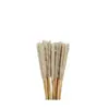 Brochetas populares para snacks en línea, brochetas comerciales, brochetas fritas, productos semielaborados, brochetas picantes revolucionarias, brochetas para olla caliente, brochetas de res picantes