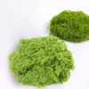 Musgo Artificial Decoración de Plantas Verdes Transfronteriza Paisajismo Césped de Musgo Artificial DIY Musgo Inmortal en Maceta Forma de Seda para Pavimentación
