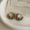 Pendientes Redondos de Cristal de Color Café de Alta Gama Minimalistas para Mujer, Accesorios de Pendientes Versátiles de Moda Tendencia de Lujo Ligero de Nicho para el Trabajo