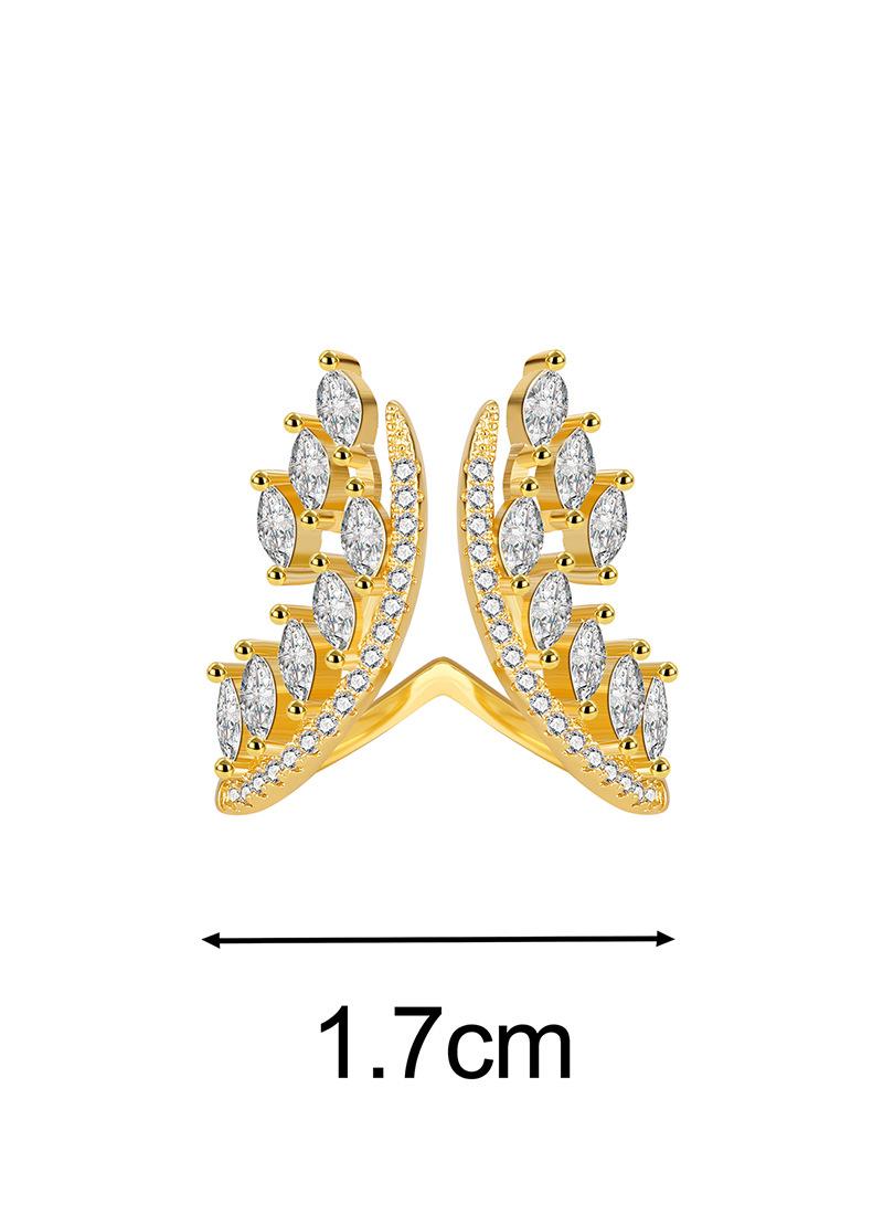 尺寸 1.jpg