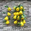 Pimentas, Milho Falso, Alho, Amendoins, Vegetais, Frutas, Restaurante de Fazenda, Decorações de Modelo de Campo de Horta, Cordas para Pendurar