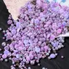 Flores Artificiales de Rosa Mixta Plástico ABS No Poroso Perlas de Imitación Cuentas Sueltas Accesorios para Joyería DIY Pasadores para el Cabello Hechos a Mano Materiales para Uñas