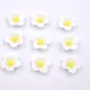 Cor de primavera 13mm flor de resina plana lírio flor de rosa bicolor tridimensional acessórios decorativos DIY