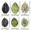 Hojas de Calathea Simuladas, Hojas de Planta Verdes Simuladas, Accesorios de Hojas Simuladas, Plantas Verdes Simuladas, Hojas Falsas, Flores Falsas
