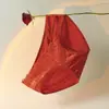 Bragas Sexys de Encaje Satén Rojas Estilo Francés para Mujer, de Tiro Bajo con Cortes Laterales, Abertura Alta, Tirantes Finos, Bragas de Malla Triangular Ligeramente Transparentes para Mujer