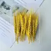 Pacote de Material DIY Feito à Mão Pequeno Buquê Flores Preservadas Flores Secas Decoração de Sala de Estar Ornamento Adereços de Casamento Lembrança para Fotos