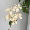 Orquídea Chama Artificial 3D Parede de Fundo Arranjo de Flores Decoração Casamento Roxo Bauhinia Orquídea Chama Flores Artificiais Falsas