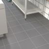 Azulejos especiales para piso de cocina de hotel y restaurante 300X300 Gris Rojo Antideslizantes y Resistentes a la Humedad Azulejos Absorbentes Azulejos Tanque Rojo