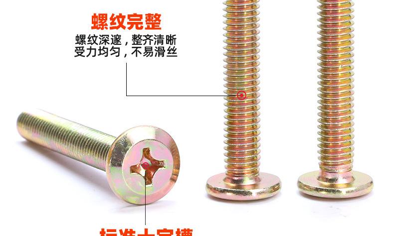 镀彩锌倒边十字螺丝_03_11.jpg