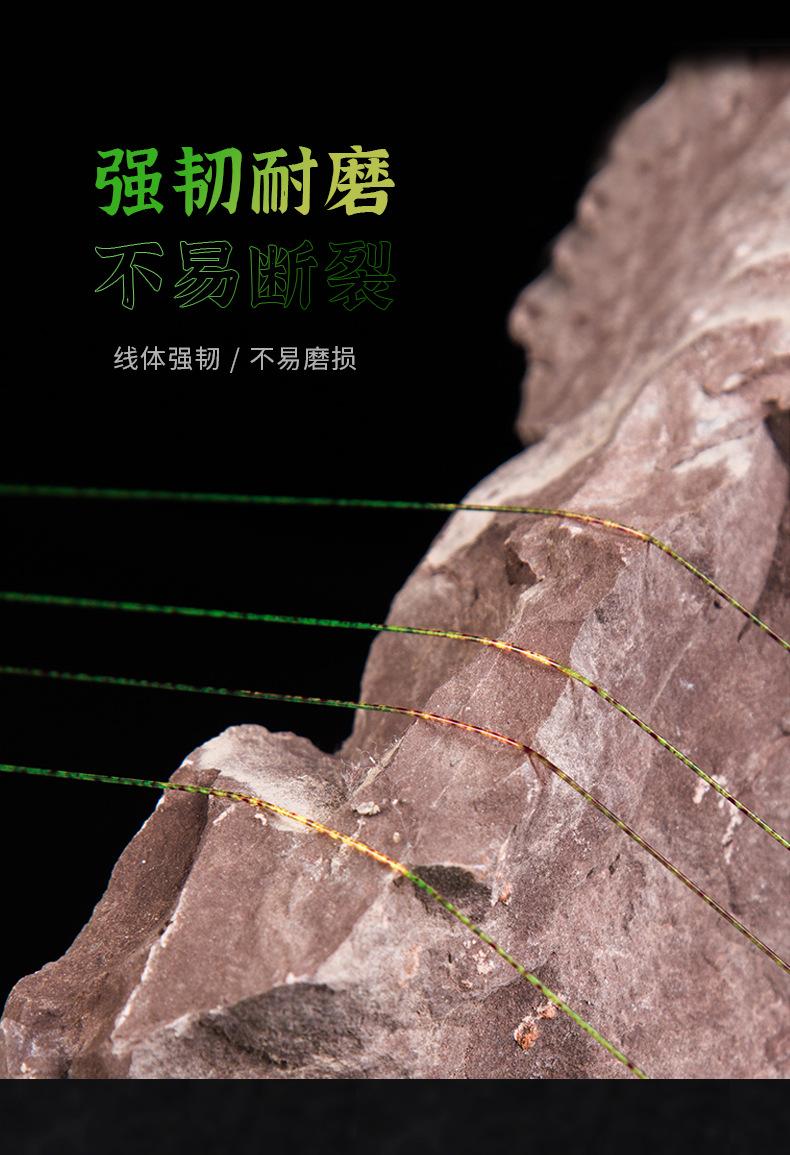 500m斑点线11_05.jpg