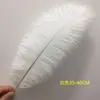 Plumas de Avestruz Reales 10-80CM Blancas Decoraciones para Pasillo de Boda Centros de Mesa Plumas de Avestruz DIY Accesorios Decorativos de Plumas Plumas Grandes