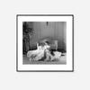 Pintura Decorativa de Estrella Hepburn Monroe Personaje Retro Pintura Colgante Estudio de Fotografía Combinación de Estudio Mural Pintura al Óleo Estilo Retro