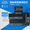 Instrumento de medição e controle de malha única, instrumento de controle com display digital para temperatura, nível de líquido e pressão: C804, C704, C904, C404