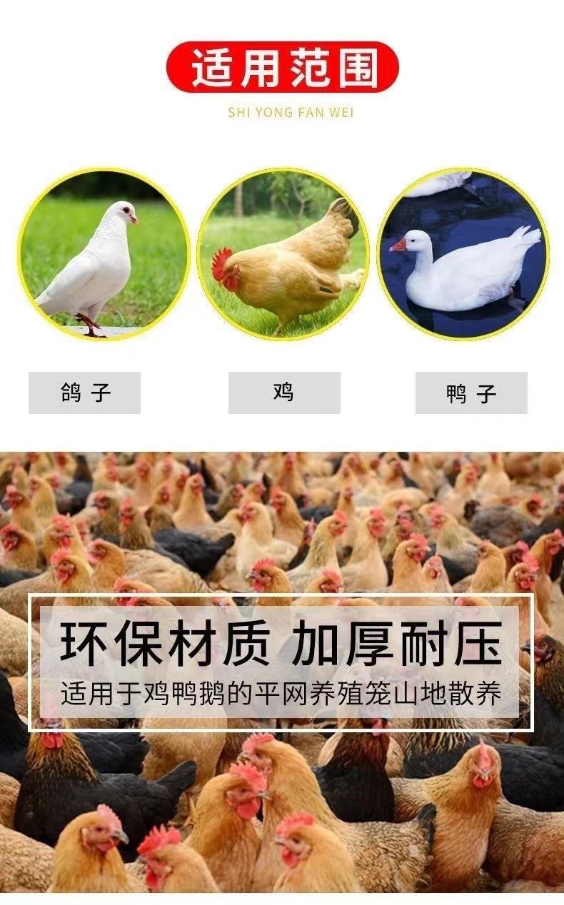 详情 (5).jpg