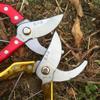 Toshinosuke com acessórios tesoura de poda de jardim Greening ferramentas de poda colheita de frutas colheita de flores colheita de galhos de frutas jardinagem tesoura de árvore frutífera