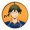Insignia Junior de Voleibol Animación Periférica Hinata Shoyo Kageyama Feixiong Insignia de Hojalata Barra Chi Venta al por Mayor