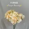 Casamento 5 Cabeças Hortênsia Salão de Casamento Hotel Flor Artificial Decoração Adereços Floral Decoração Suave Atacado Fábrica Flores Artificiais