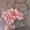 Flor de montanha pequena buquê de flores secas decoração luz luxo high-end diy material real flor air-dried importado espécime material de flor