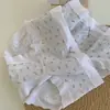 Ropa Interior Estilo Coreano para Niñas 10A Antibacteriana Algodón Puro en la Entrepierna Nuevo Estilo 2026 Transpirable Sin Pellizcar Calzones Tipo Triángulo para Niña