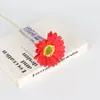 Flores artificiales personalizadas tipo nórdico de margarita africana para bodas, gabinetes de TV para el hogar, decoración de interiores de hoteles, textiles del hogar y arreglos florales
