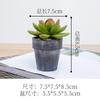 Planta de simulación carnosa pequeña en maceta personalizada simple decoración del hogar bonsái decoración de interiores planta verde simulación