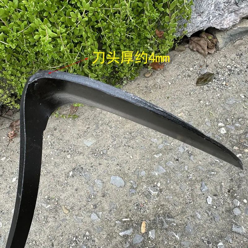 微信图片_202407172148191.jpg