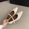 Sapatos Mary Jane Femininos 2025 Outono Novo Estilo Francês para o Trabalho Ol Elegantes para a Noite com Salto Interno Bico Fino