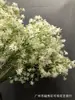 Nueva simulación mini erizo de mar gypsophila flor de arroz estrella decoración de muebles decoración de ramo de gypsophila estrella arreglo floral pequeño fresco