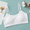 Ropa interior nueva para estudiantes para mujer con copas fijas, top tube delgado sin aros, período de desarrollo, los pechos grandes se ven más pequeños, banda para el pecho de algodón puro para mujer