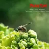 Kit Profesional de Lente Macro HD Móvil para Fotografía, Apertura Ajustable, Magnificación Apilable, Profundidad de Campo Controlable Lente de Cámara de Teléfono para Disparos con Smartphone