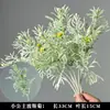 Plantas Verdes, Hierba de Junco, Hierba Bigote de Dragón, Fondo de Boda, Paisajismo de Ventana Floral, Flores Decorativas para Boda en Bosque Blanco y Verde