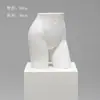 Adereços para Modelos de Lingerie, Manequins de Meio Corpo Femininos e Masculinos, Figuras de Plástico para Exposição de Sutiãs e Roupas Íntimas, Expositores para Vitrines