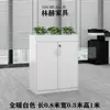 Armário Divisória de Escritório Shenzhen, Gabinete Baixo Simples Moderno com Floreira, Armário de Madeira para Flores e Plantas, Combinação de Armazenamento de Armário para Arquivos e Documentos
