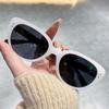 Gafas de Sol Negras Personalizadas con Marco Delgado de Moda para Mujer, Nuevas Gafas de Sol Polarizadas Ojo de Gato, Estilo Europeo y Americano, Geniales y a la Moda 9017