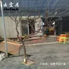 Paisaje de ramas secas tronco de árbol de ramas secas árbol de los deseos árbol muerto ramas de estilo navideño para interiores tronco de ramas ramas de madera cruda árbol decorativo