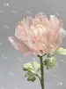 Lámpara floreciente pequeña de inducción apertura y cierre automáticos flor flor mecánica lámpara de pie flor flor se moverá flor