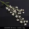 Serie de Flores de Tira Color Champán Seda Artificial de Boda Niebla Phalaenopsis Arco de Salón de Bodas Ramo de Decoración Falsa Dropshipping
