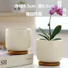 Macetas de Cerámica con Platos para Uso Doméstico al por Mayor, Macetas para Suculentas de Estilo Ins Simple Lujo Ligero Estilo Crema, Disponible para Dropshipping