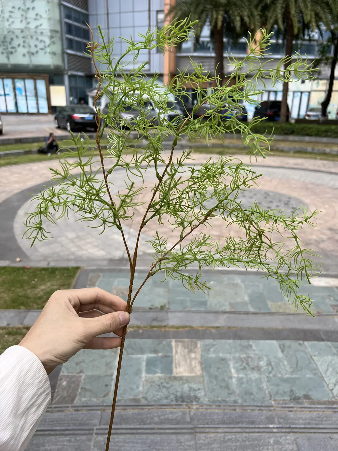 微信图片_20230419162632