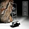 Trofeos de cristal personalizados, nuevas medallas metálicas de alta gama y premios de resina para eventos de empresa, con grabado creativo para empleados destacados