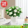 Planta de Gardenia en Maceta con Capullos de Flor, Fácil de Mantener, Fragante Todo el Año, Hidropónica, Planta de Flor de Interior Fácil de Cultivar